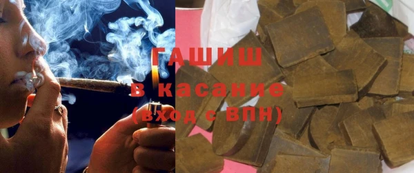 гашик Пересвет