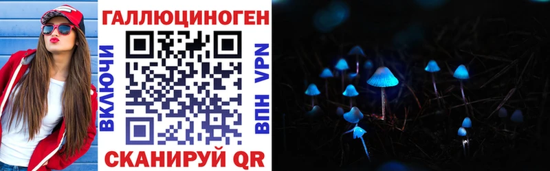 Купить закладки Абакан Псилоцибиновые грибы GOLDEN TEACHER