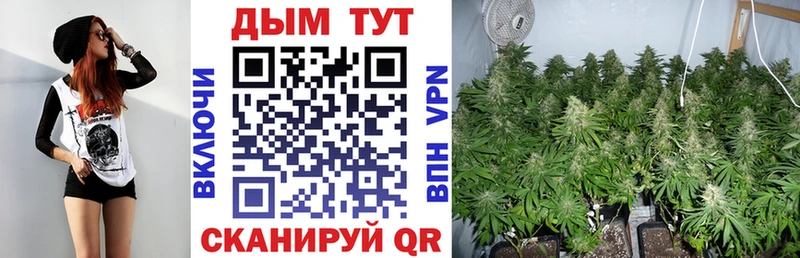 Бошки Шишки планчик Абакан